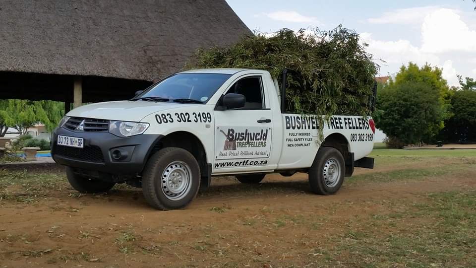 Bushveld Tree Fellers Vehicle Removing Trees from a Site