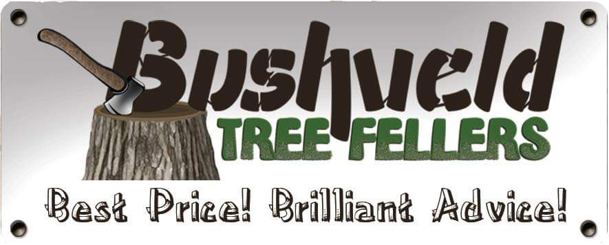 Bushveld Tree Fellers Logo